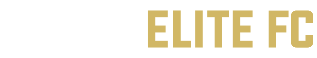 SOCAL_ELITE_FC_TYPE_LOGO_WHITE+GOLD