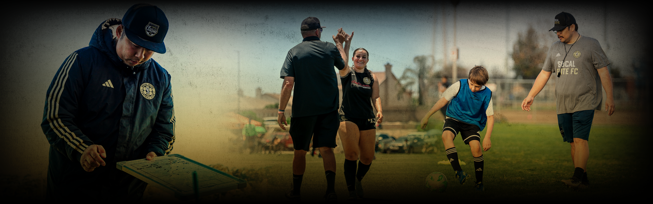 LOOKING FOR COACHES & TRAINERS